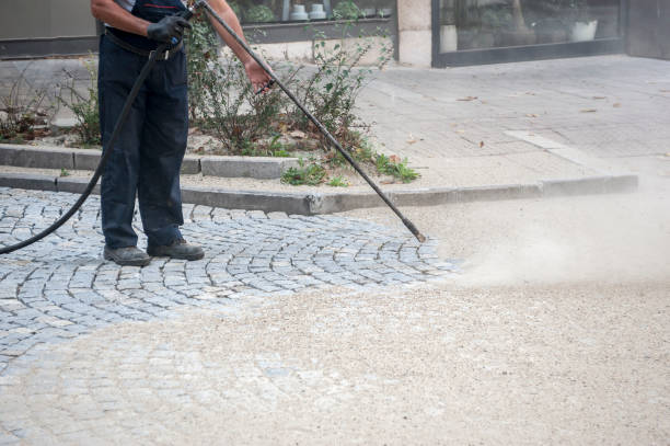 Best Driveway Pressure Washing  in USA